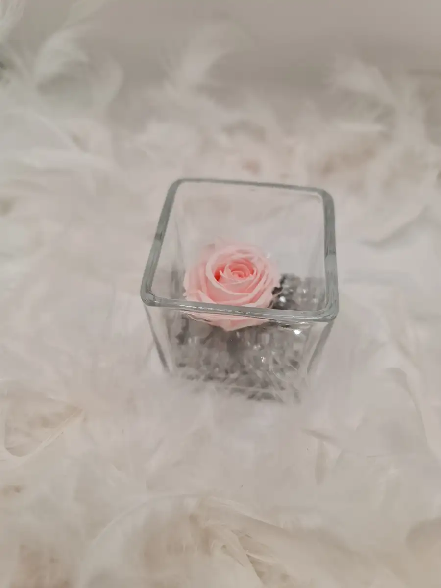Minis rose éternelle