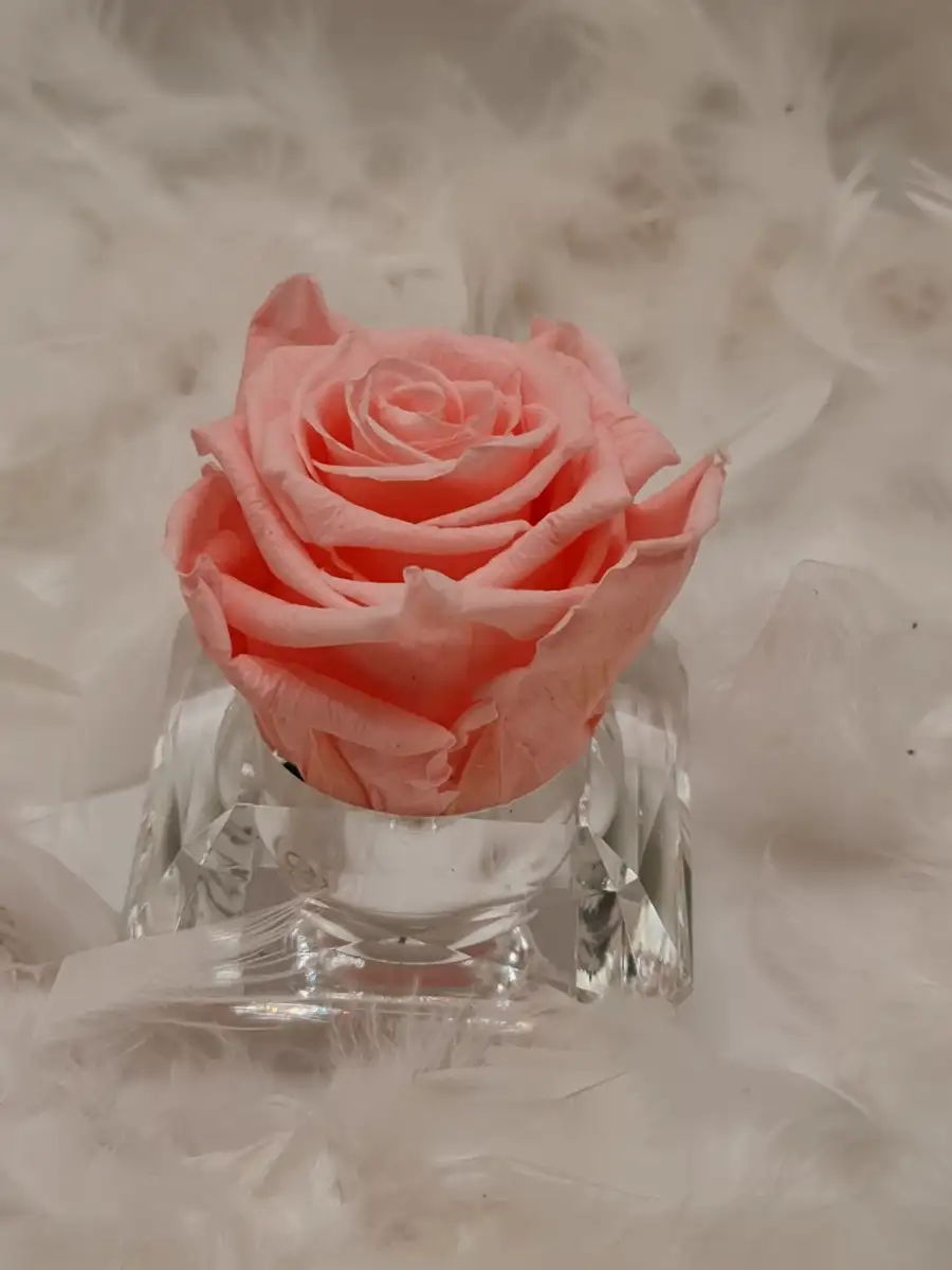 Rose éternelle dans diamant