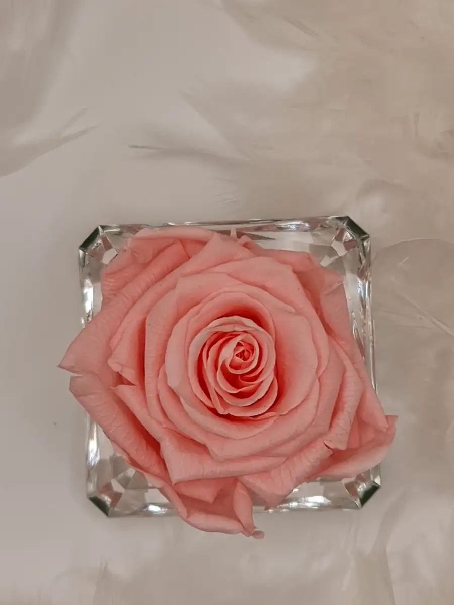 Rose éternelle dans diamant