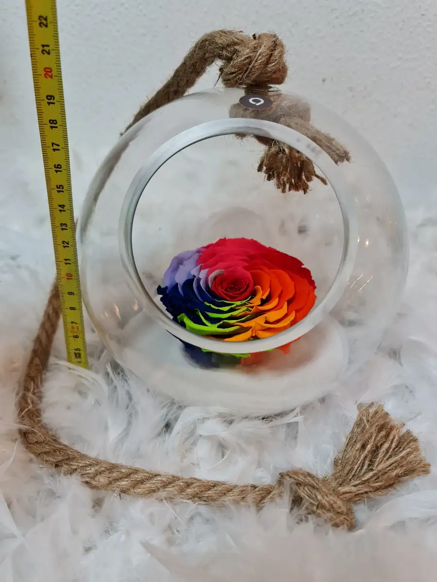 Rose éternelles multicolore xxl