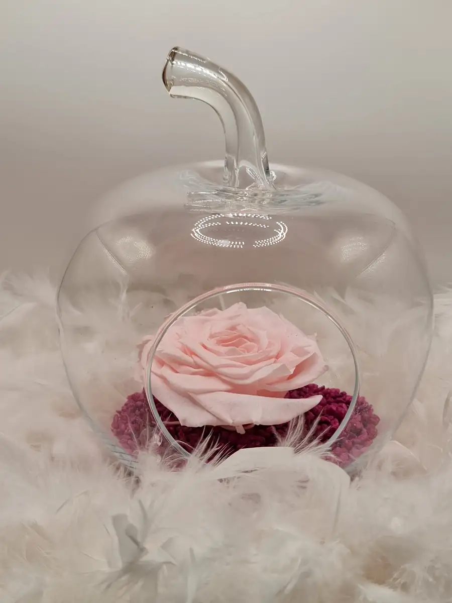 Rose éternelle rose clair xxl