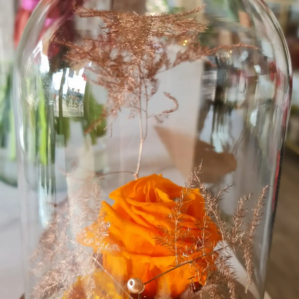 Cloche de rose éternelle orange