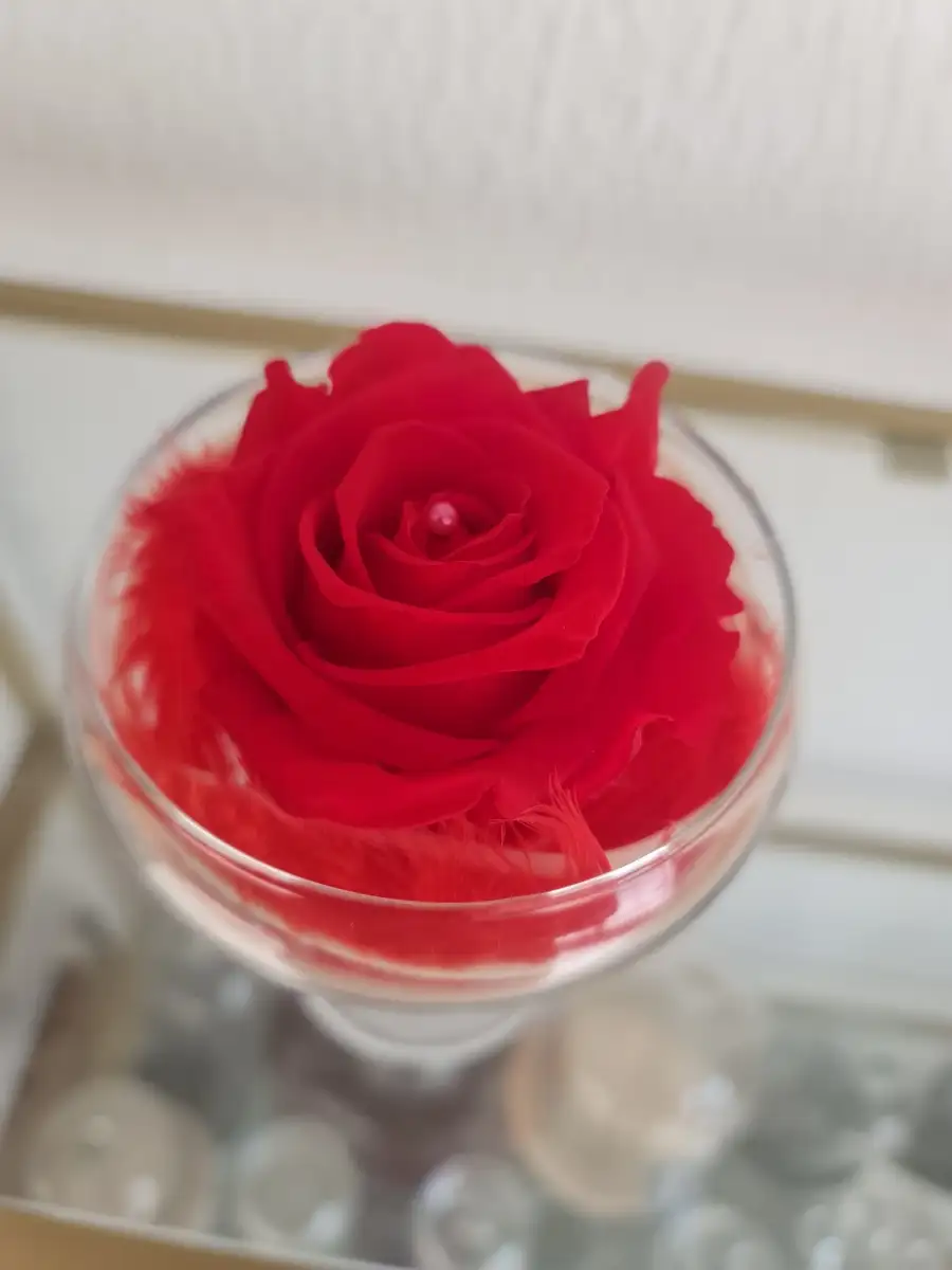 Rose éternelle sur pied rouge