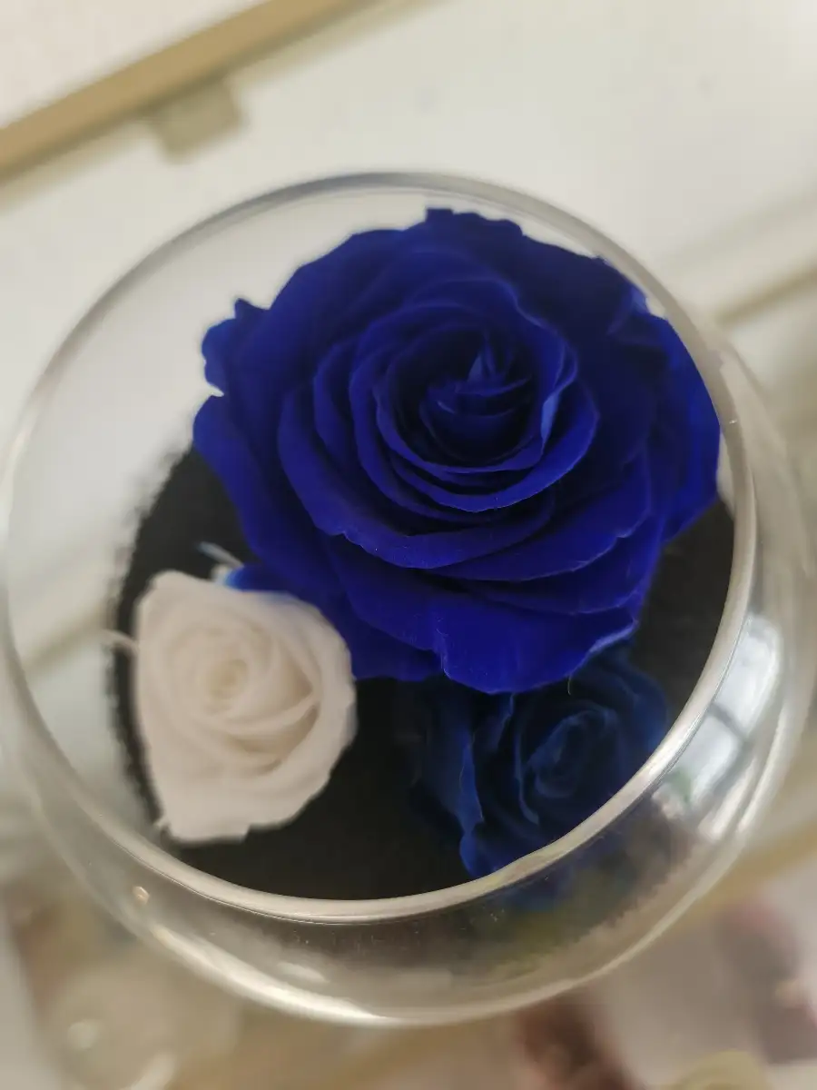 Boule éternelle bleu et blanc