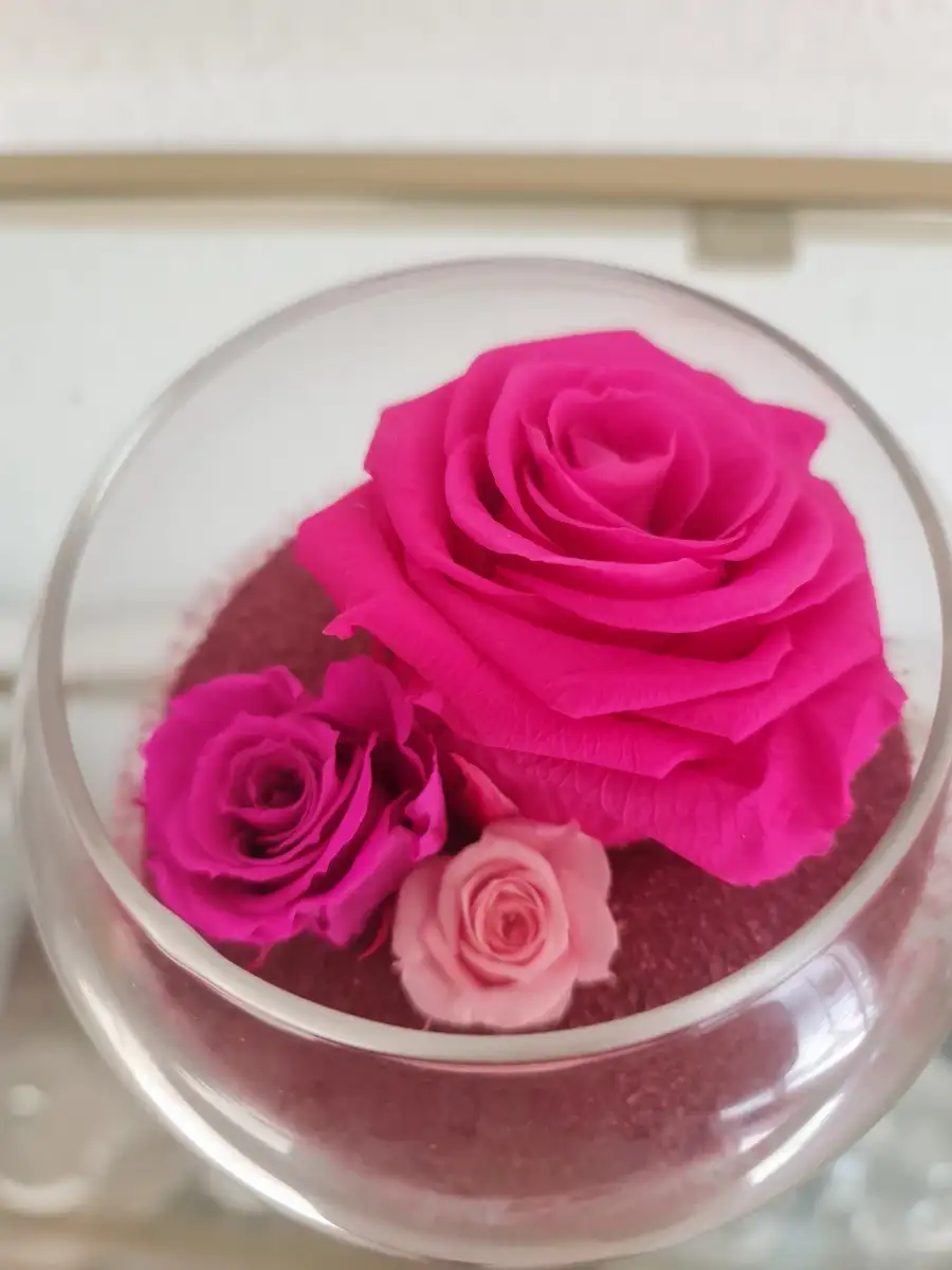 Boule éternelle camaïeu de roses
