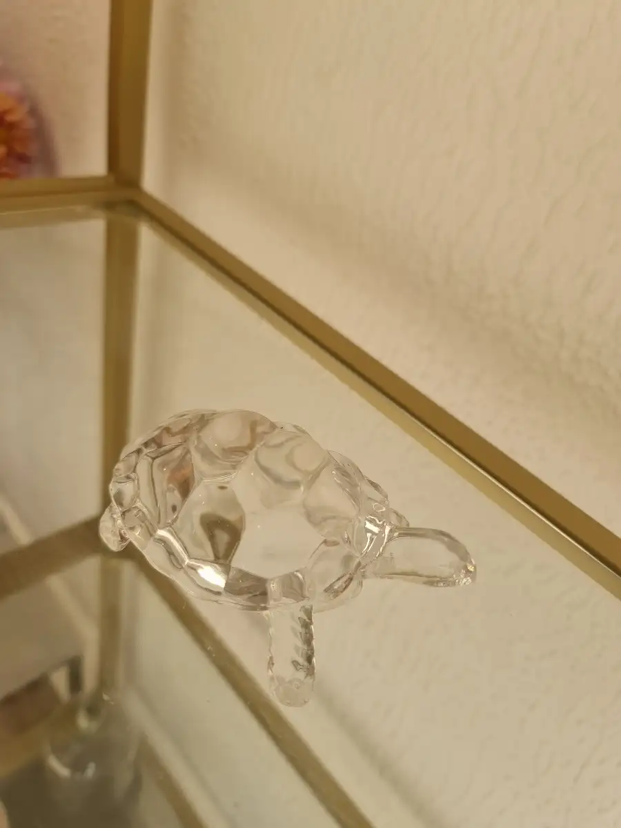 Tortue de verre