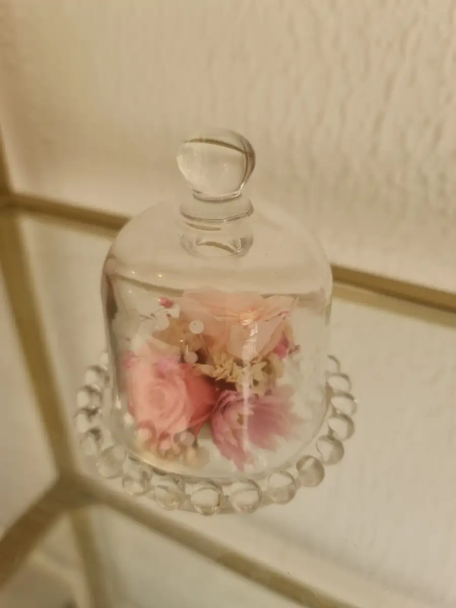 Minis cloche éternelle rose