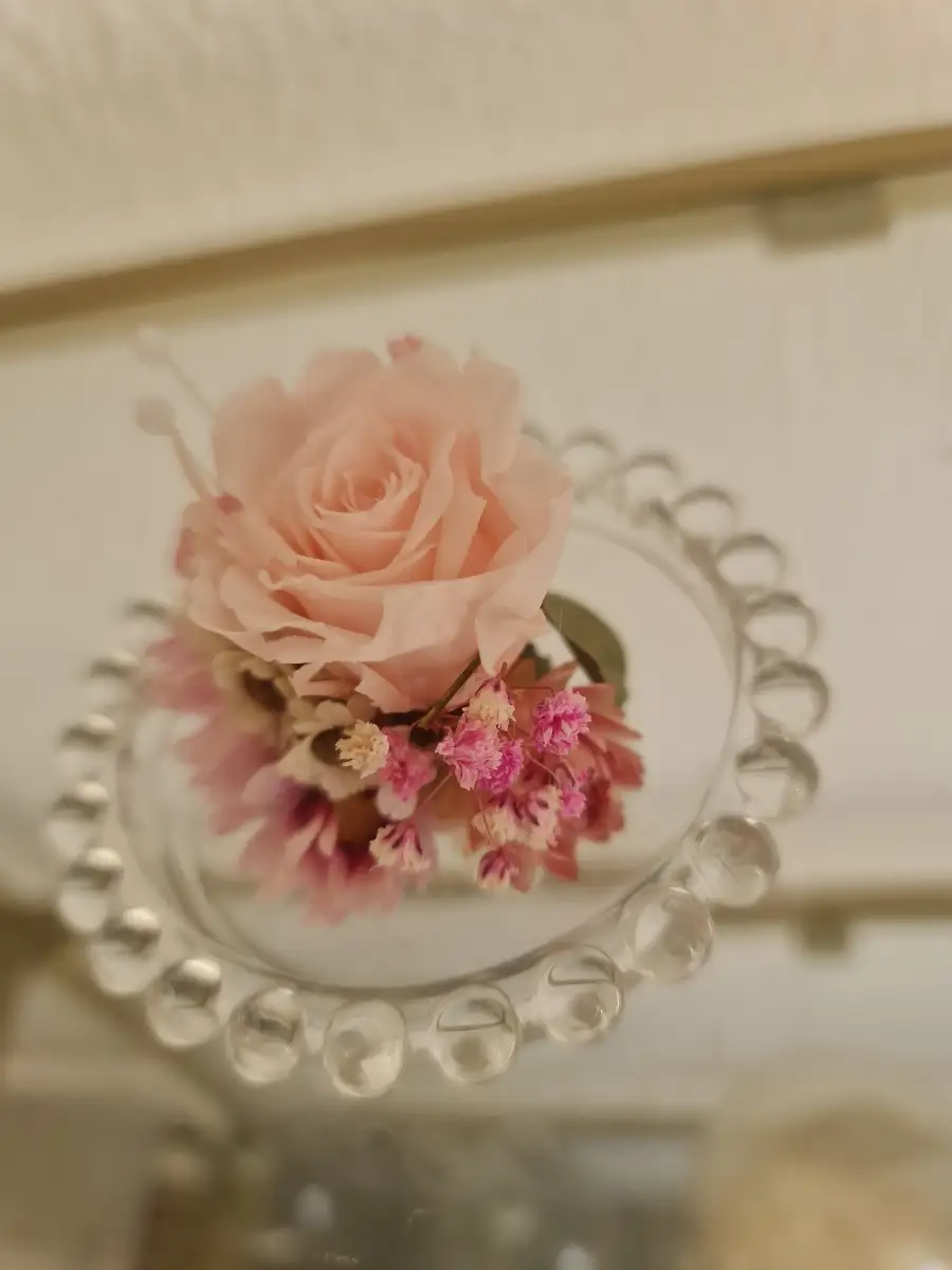 Minis cloche éternelle rose