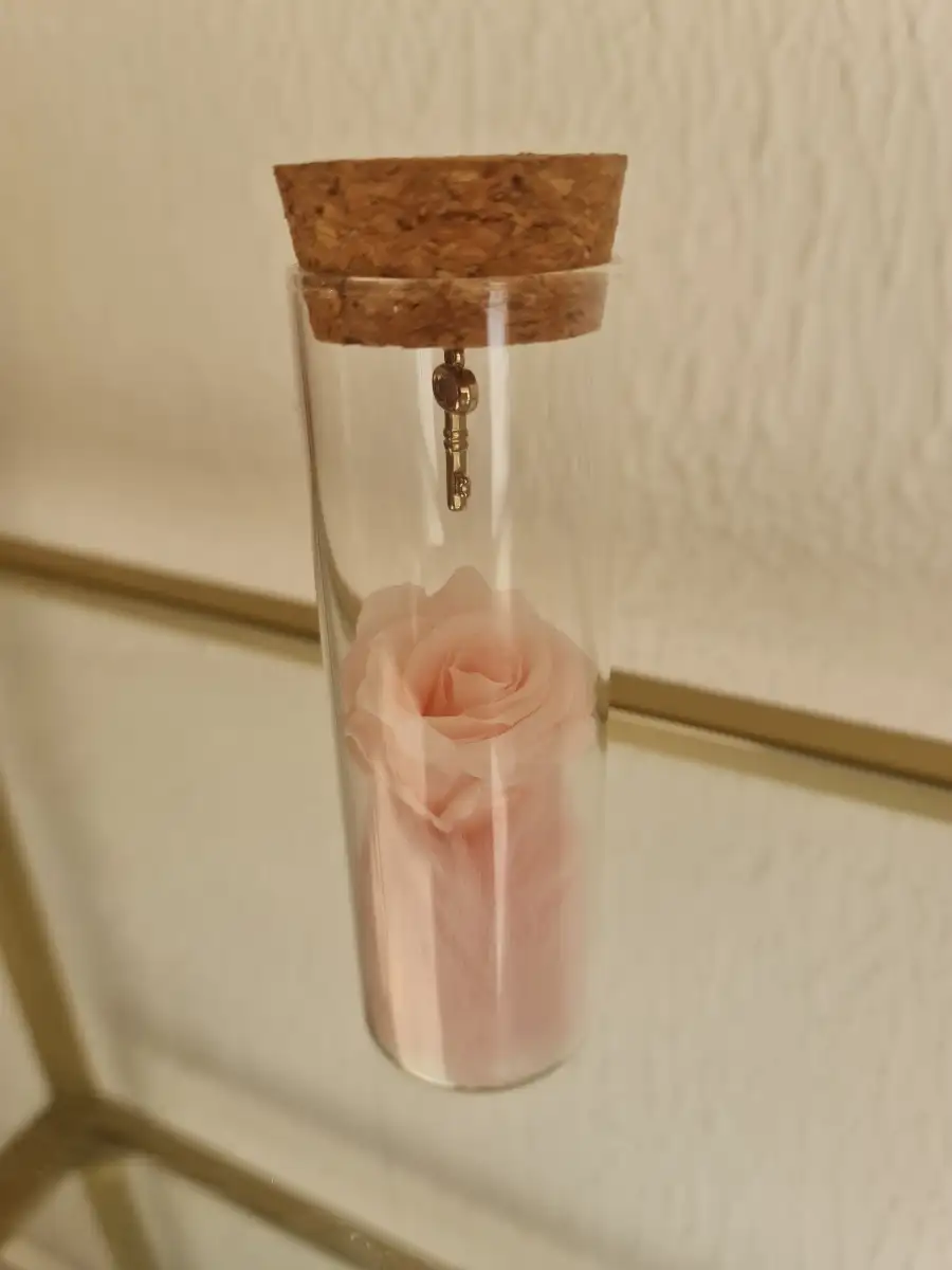 Tube éternelle rose