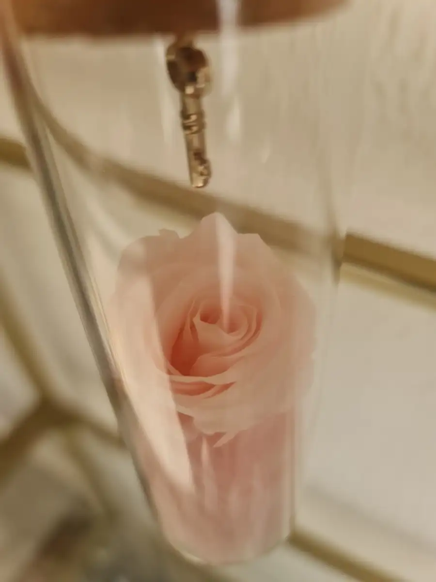 Tube éternelle rose