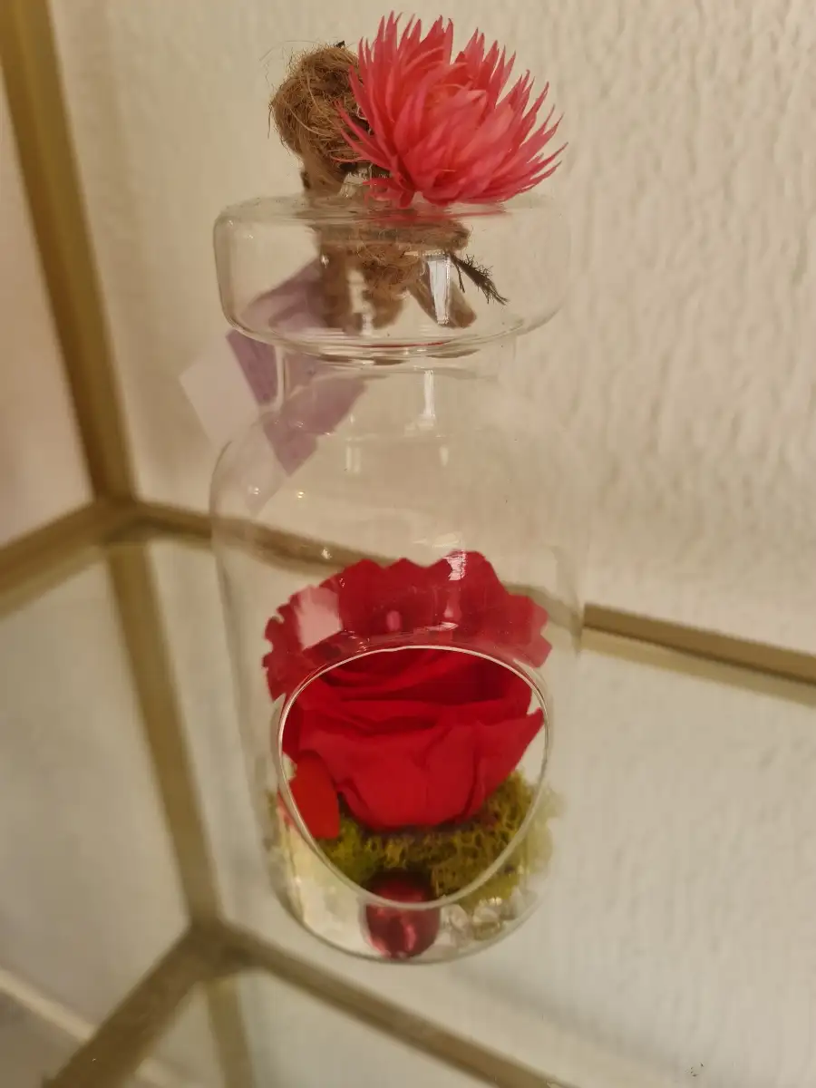 Rose éternelle rouge