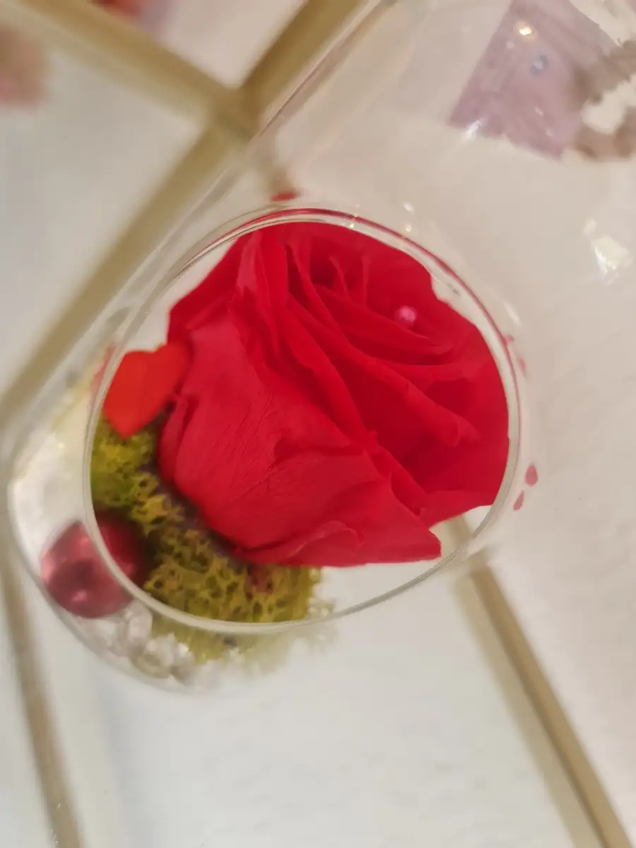 Rose éternelle rouge