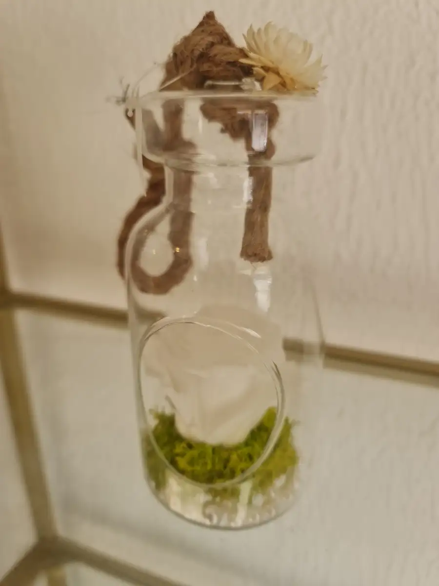 Rose éternelle blanche